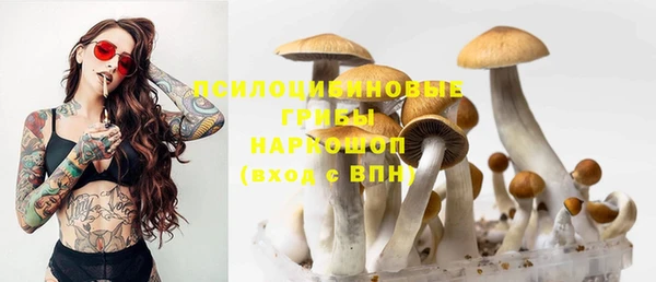 МДПВ Алзамай