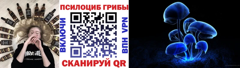 Галлюциногенные грибы прущие грибы  продажа наркотиков  ОМГ ОМГ ссылка  Ардон 